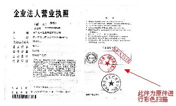 市桥网站建设 营业执照范本